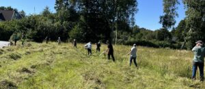 Slåtter på Nilsemyrens äng